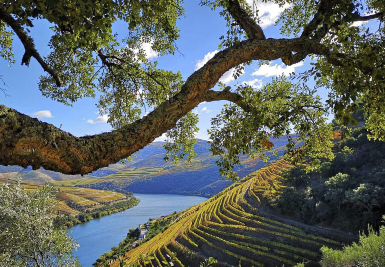 EASY_0053_Caminho do saborroute-of-flavors-tour-easy-transfer (2)