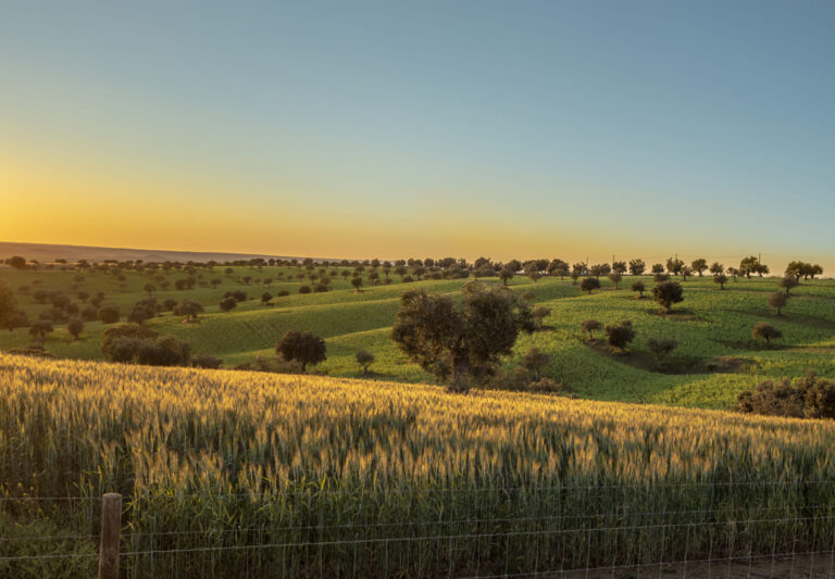 EASY_0062_Alma atlanticaatlantic-soul-tour-easy-transfer (4)