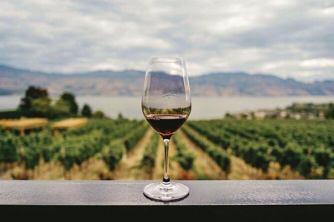 Wine tasting experience in Alentejo vineyards near Évora, featuring ruby red wines and guided vineyard tours, part of the Lisbon to Évora Private Wine & Culture Tour by Lux Motion.